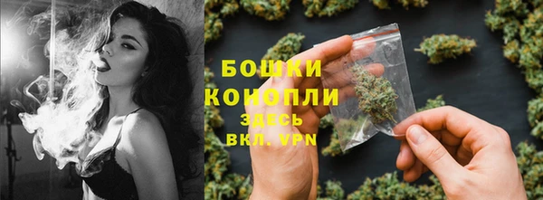 Альфа ПВП Гусев