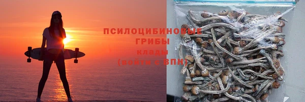 таблы Дмитриев