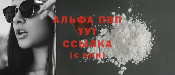 Альфа ПВП Гусев