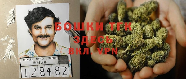 Альфа ПВП Гусев