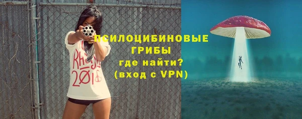 таблы Дмитриев