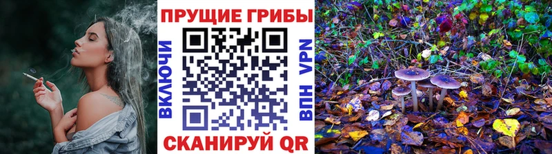 Галлюциногенные грибы Psilocybe  Купить закладки  Искитим 